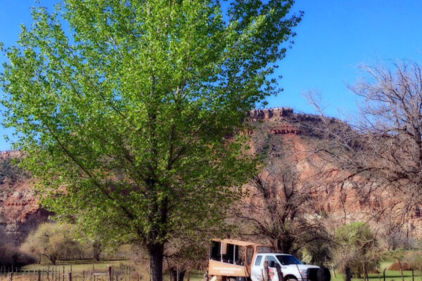 Backcountry Adventures in Zion National Park | Zion Jeep Tours