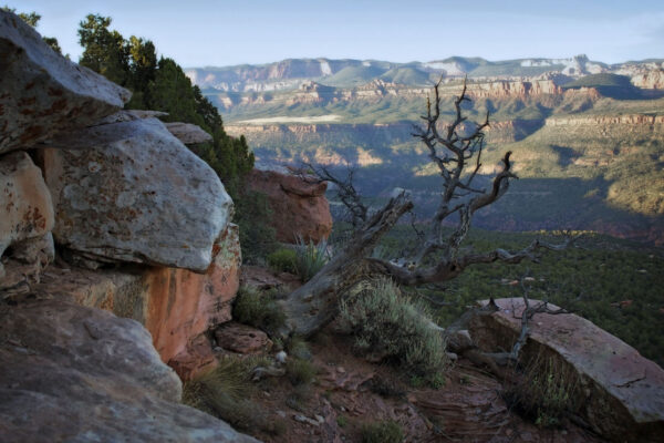 Backcountry Adventures in Zion National Park | Zion Jeep Tours
