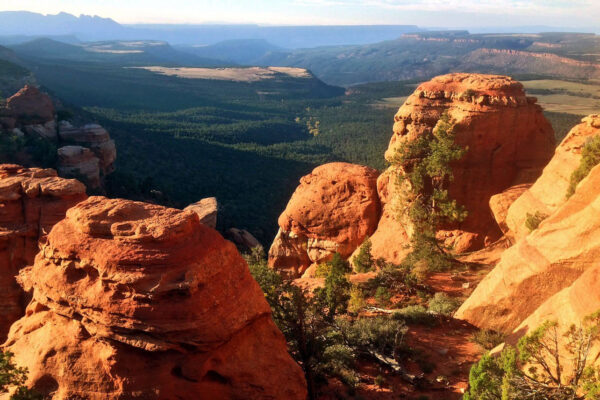 Backcountry Adventures in Zion National Park | Zion Jeep Tours