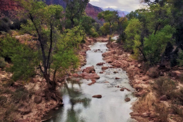 Backcountry Adventures in Zion National Park | Zion Jeep Tours