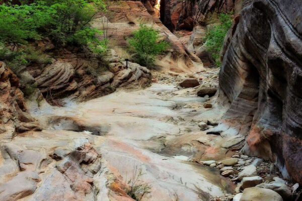 Backcountry Adventures in Zion National Park | Zion Jeep Tours