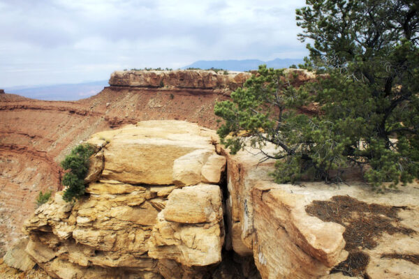 Backcountry Adventures in Zion National Park | Zion Jeep Tours