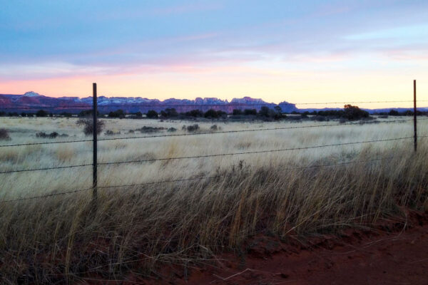 Backcountry Adventures in Zion National Park | Zion Jeep Tours