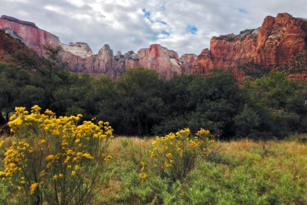 Backcountry Adventures in Zion National Park | Zion Jeep Tours