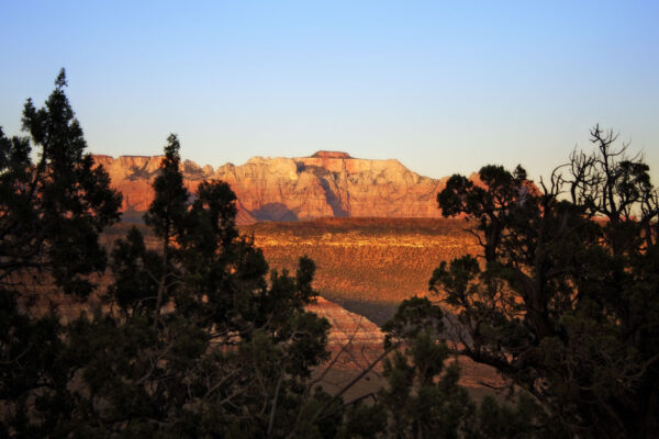 Backcountry Adventures in Zion National Park | Zion Jeep Tours