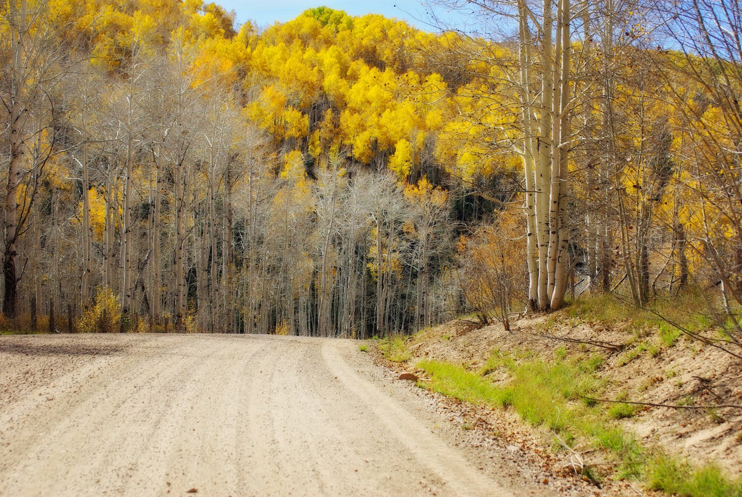 Autumn in Zion National Park