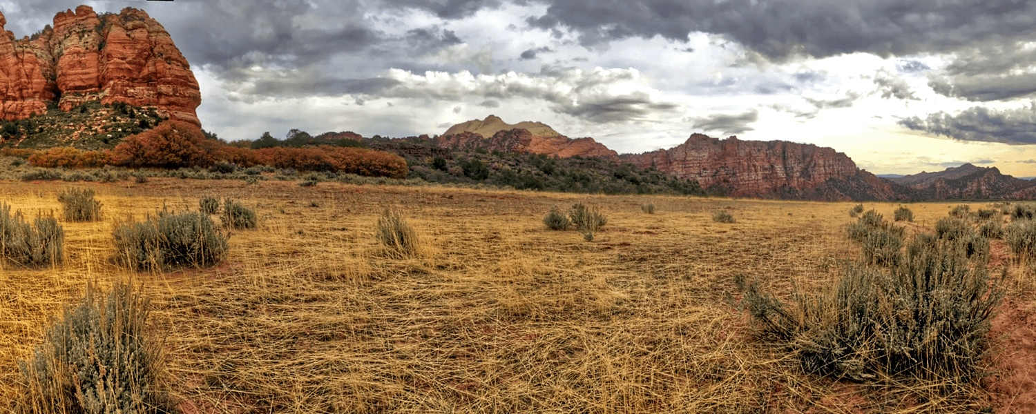 Zion National Park Seasonal Weather: How to be prepared for your vacation