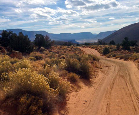 Backcountry Adventures in Zion National Park | Zion Jeep Tours