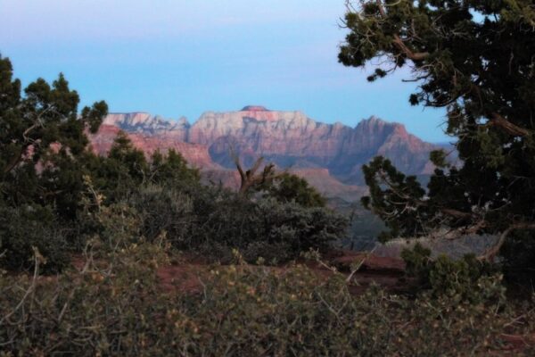 Backcountry Adventures in Zion National Park | Zion Jeep Tours
